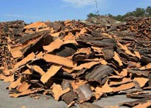 Wood Pellet Mill Raw Materials