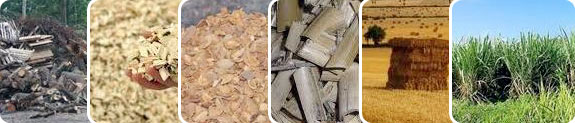 Biomass Material for Pelletizer