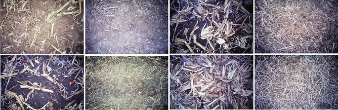 Food Crop Residues Food Crop Residues