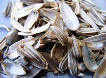 Sunflower Husk/Seed Shells