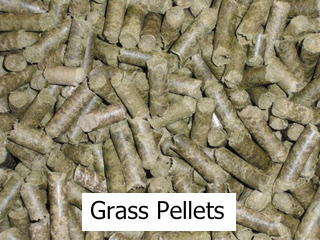 Grass Pelles-American-Pellet-Machine