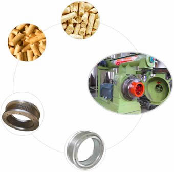 Large Scale Wood Pellet Mill