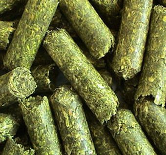 Leaves-Biomass pellets Leaves-Biomass pellets