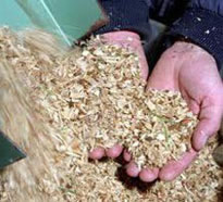 Making Wood Pellets-Small Pellet Machine