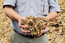 Pellet Maker Machine