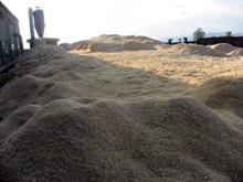 Pelletizer Machine Business