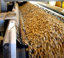 Pelletizer Machine for Sale