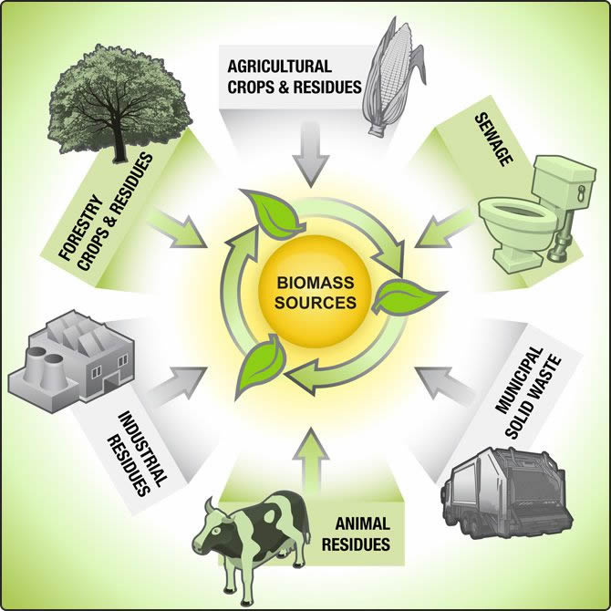 Renewable Biomass Energy