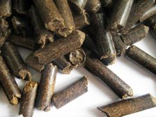 Bagasse Pellets