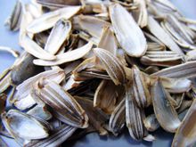 Sunflower Husk Seed Shell